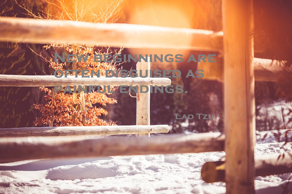 Quote Beginnings